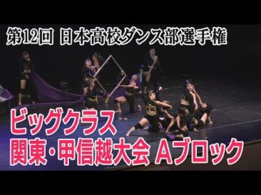 第12回高校ダンス部選手権　関東・甲信越大会Aブロック（ビッグクラス）