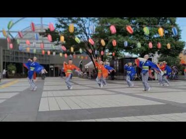 よさこい：四万夢多(しまむた)【高知・四万十】@隅田川おどりフェスタ2024
